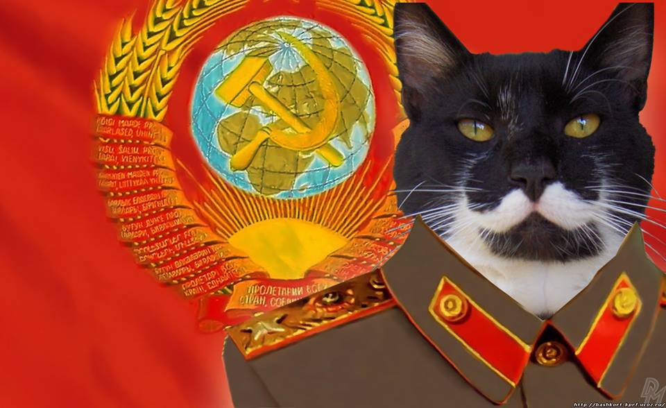 Le novel 1 oizbdoizbdiuabzdibzdiubz oizbdoizbdiuabzdibzdiubz oizbdoizb